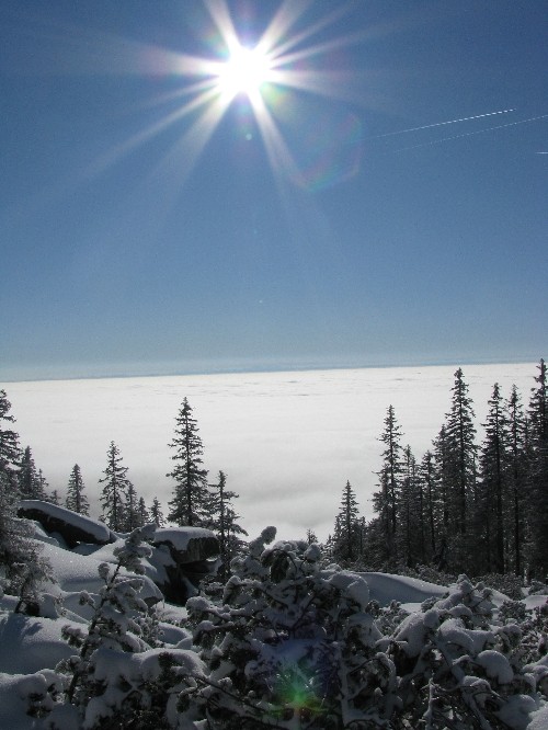 Schneeschuhwandern Dreisessel Bayerischer Wald